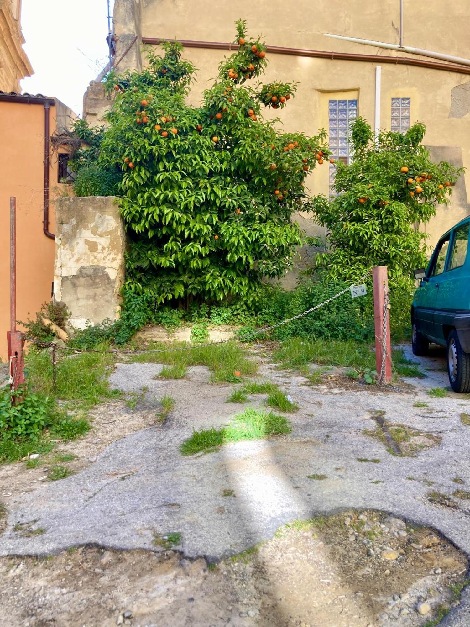 Flat - With Private Parking